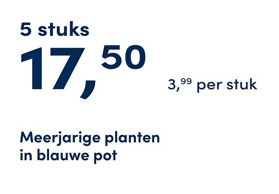 prijskaart 2025 Nederlands - blauwe pot 3,99 per stuk - 5 stuks 17,50