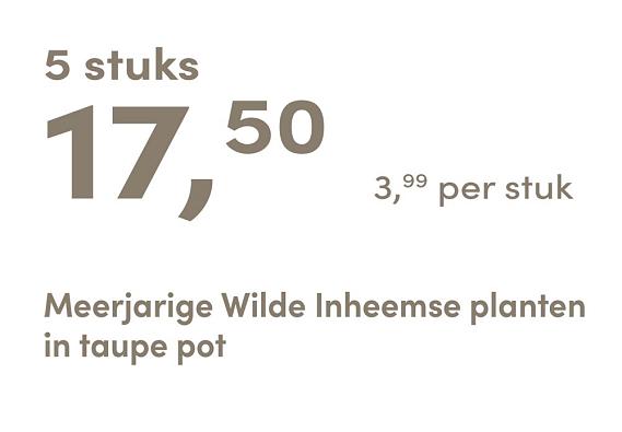 prijskaart 2025 Nederlands - taupe pot 3,99 per stuk - 5 stuks 17,50