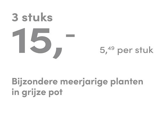 prijskaart 2025 Nederlands - grijze pot 5,49 per stuk - 3 stuks 15,-