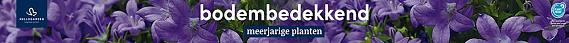 tafelbanner 2025 Nederlands - <strong>bodembedekkend</strong>