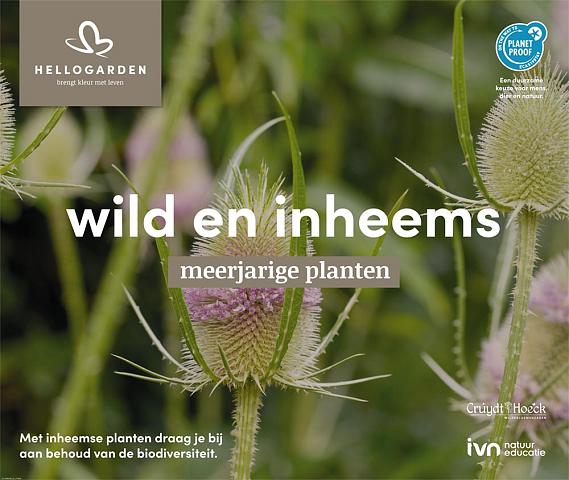 displaybord 2025 Nederlands - wild en inheems