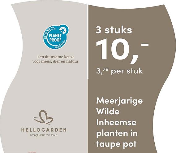 prijsmolen 2025 Nederlands - taupe pot 3,79 per stuk - 3 stuks 10,-