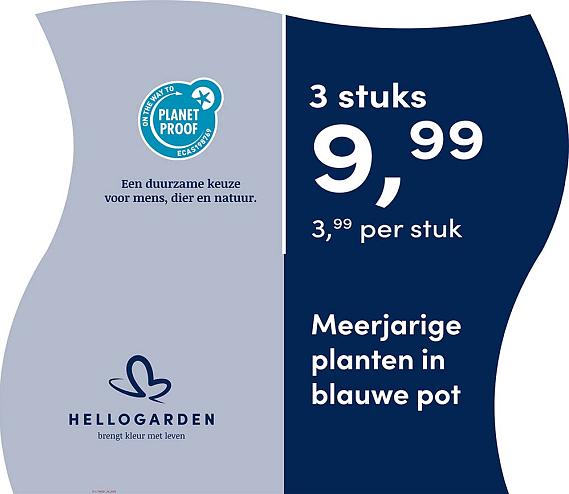 prijsmolen 2025 Nederlands - blauwe pot 3,99 per stuk - 3 stuks 9,99