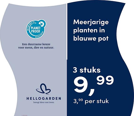 prijsmolen 2025 Nederlands - blauwe pot 3,99 per stuk - 3 stuks 9,99