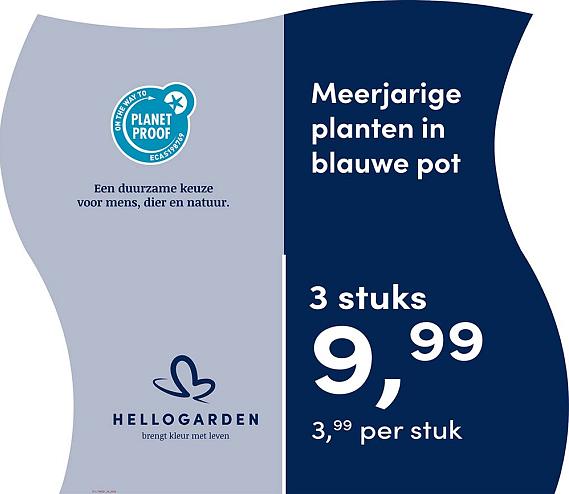 prijsmolen 2025 Nederlands - blauwe pot 3,99 per stuk - 3 stuks 9,99