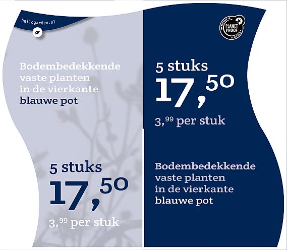 prijsmolen 2022 Nederlands  - Vaste planten 3,99 per stuk - 5 stuks 17,50