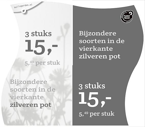 prijsmolen 2022 Nederlands  - <strong>Bijzondere soorten 5,49 per stuk - 3 stuks 15,-</strong>