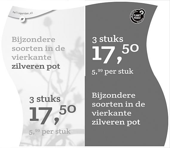 prijsmolen 2022 Nederlands  - Bijzondere soorten 5,99 per stuk - 3 stuks 17,50