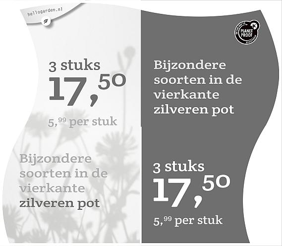 prijsmolen 2022 Nederlands  - Bijzondere soorten 5,99 per stuk - 3 stuks 17,50