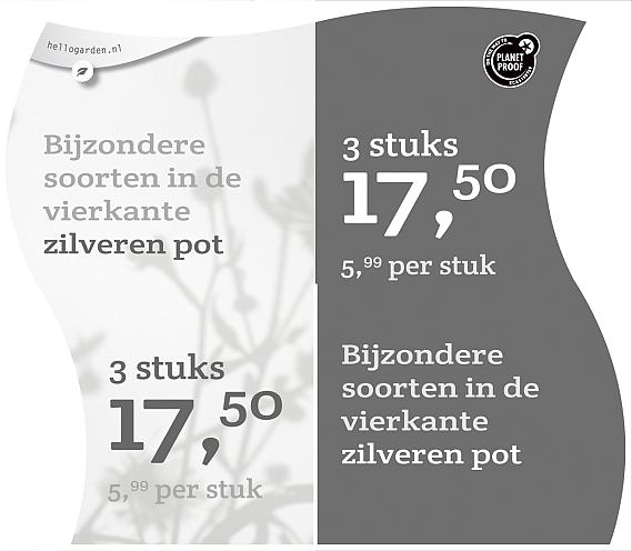 prijsmolen 2022 Nederlands  - Bijzondere soorten 5,99 per stuk - 3 stuks 17,50