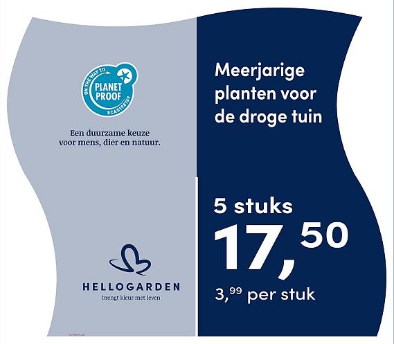 prijsmolen 2025 Nederlands - blauwe pot 3,99 per stuk - 5 stuks 17,50