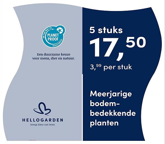 prijsmolen 2025 Nederlands - blauwe pot 3,99 per stuk - 5 stuks 17,50