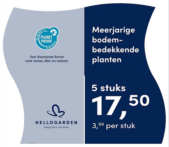 prijsmolen 2025 Nederlands - blauwe pot 3,99 per stuk - 5 stuks 17,50