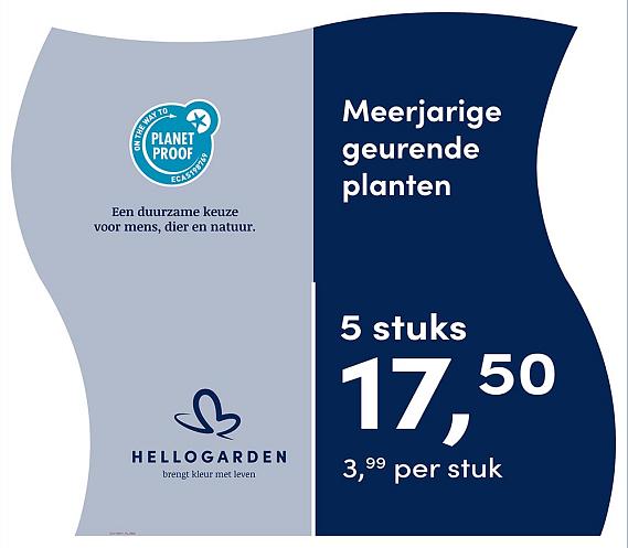 prijsmolen 2025 Nederlands - blauwe pot 3,99 per stuk - 5 stuks 17,50