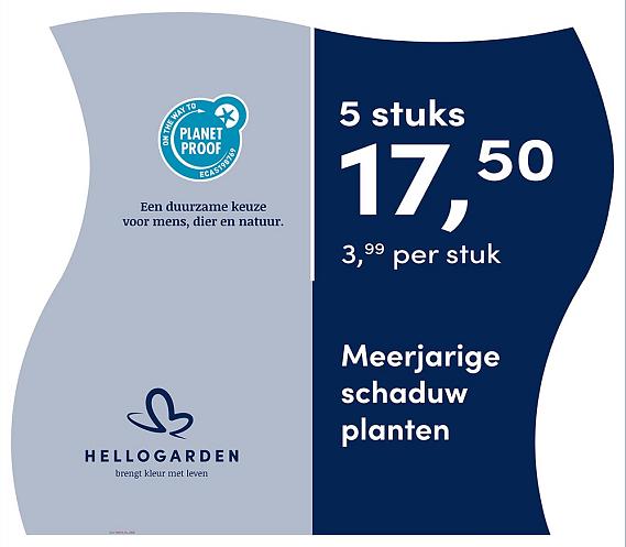 prijsmolen 2025 Nederlands - blauwe pot 3,99 per stuk - 5 stuks 17,50