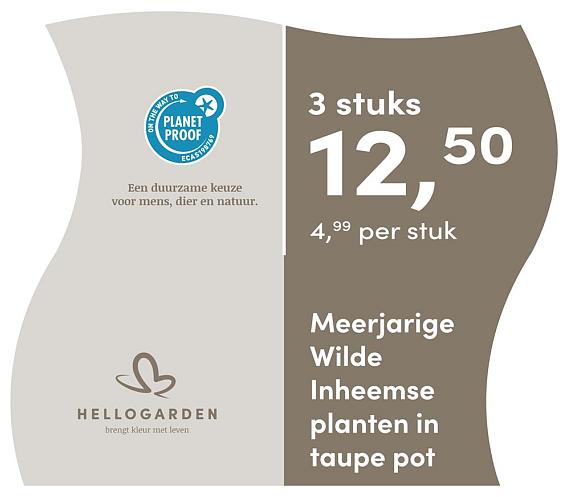 prijsmolen 2025 Nederlands - taupe pot 4,99 per stuk - 3 stuks 12,50