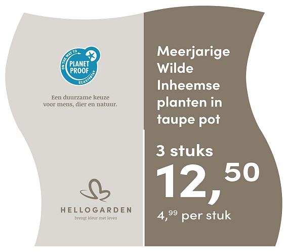 prijsmolen 2025 Nederlands - taupe pot 4,99 per stuk - 3 stuks 12,50