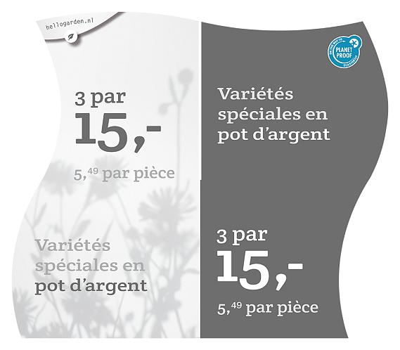 prijsmolen 2022 Frans  - Variétés spéciales en pot d’argent 5,49 par pièce - € 15,- par 3