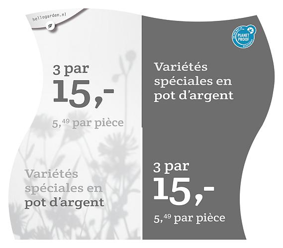 prijsmolen 2022 Frans  - Variétés spéciales en pot d’argent 5,49 par pièce - € 15,- par 3