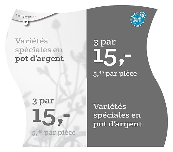 prijsmolen 2022 Frans  - Variétés spéciales en pot d’argent 5,49 par pièce - € 15,- par 3