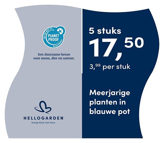 prijsmolen 2025 Nederlands - blauwe pot 3,99 per stuk - 5 stuks 17,50