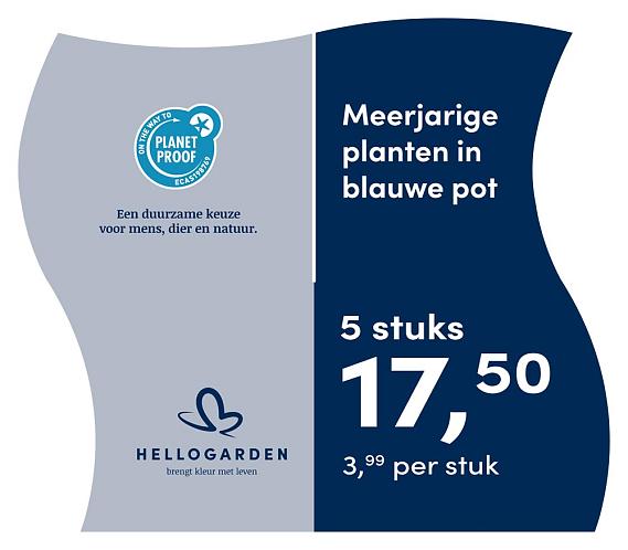 prijsmolen 2025 Nederlands - blauwe pot 3,99 per stuk - 5 stuks 17,50