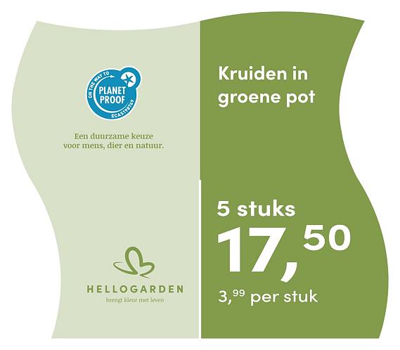 prijsmolen 2025 Nederlands - groene pot 3,99 per stuk - 5 stuks 17,50