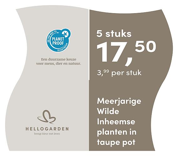 prijsmolen 2025 Nederlands - taupe pot 3,99 per stuk - 5 stuks 17,50