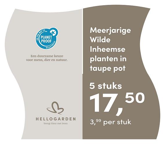 prijsmolen 2025 Nederlands - taupe pot 3,99 per stuk - 5 stuks 17,50