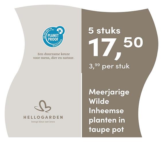 prijsmolen 2025 Nederlands - taupe pot 3,99 per stuk - 5 stuks 17,50