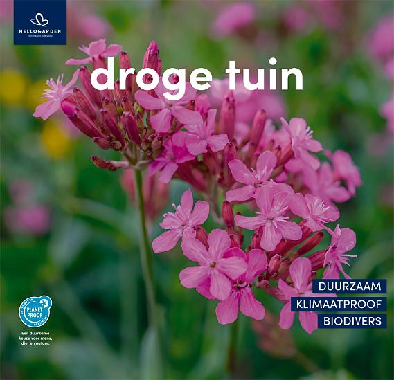 zeildoek 2025 Nederlands - droge tuin