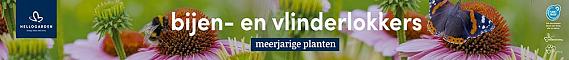 tafelbanner 2025 Nederlands - <strong>bijen- en vlinderlokkers</strong>