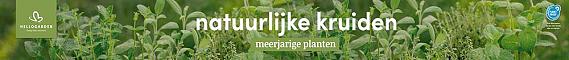 tafelbanner 2025 Nederlands - natuurlijke kruiden