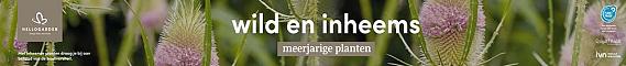 tafelbanner 2025 Nederlands - wild en inheems