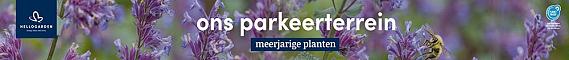 tafelbanner 2025 Nederlands - ons parkeerterrein