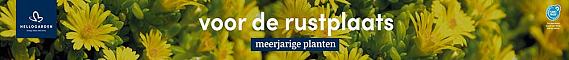 tafelbanner 2025 Nederlands - voor de rustplaats