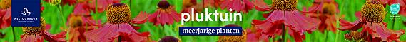 tafelbanner 2025 Nederlands - pluktuin