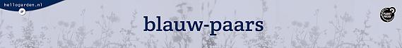 tafelbanner 2022 Nederlands - blauw-paars