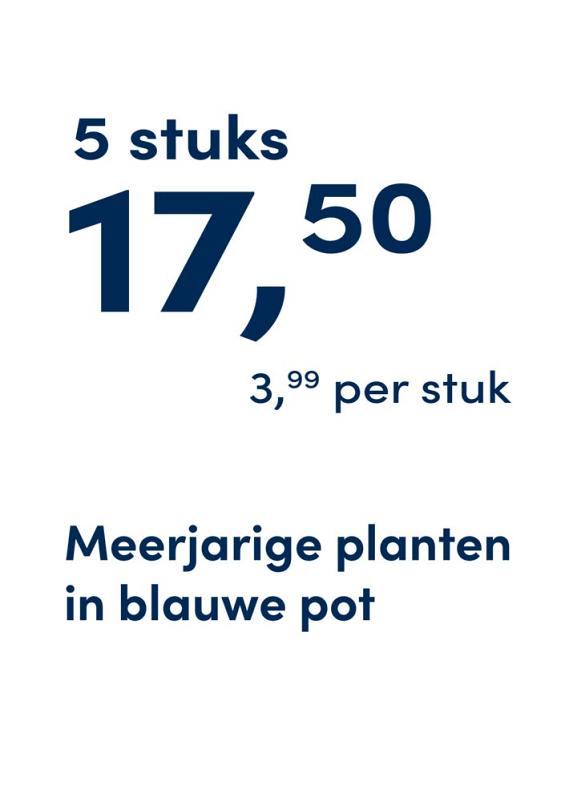 prijskaart 2025 Nederlands - blauwe pot 3,99 per stuk - 5 stuks 17,50