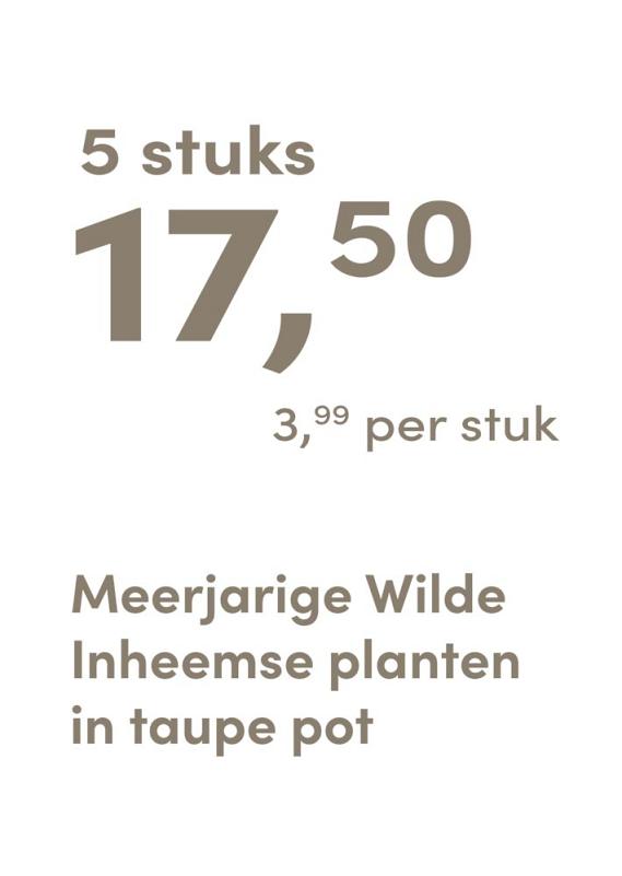 prijskaart 2025 Nederlands - taupe pot 3,99 per stuk - 5 stuks 17,50