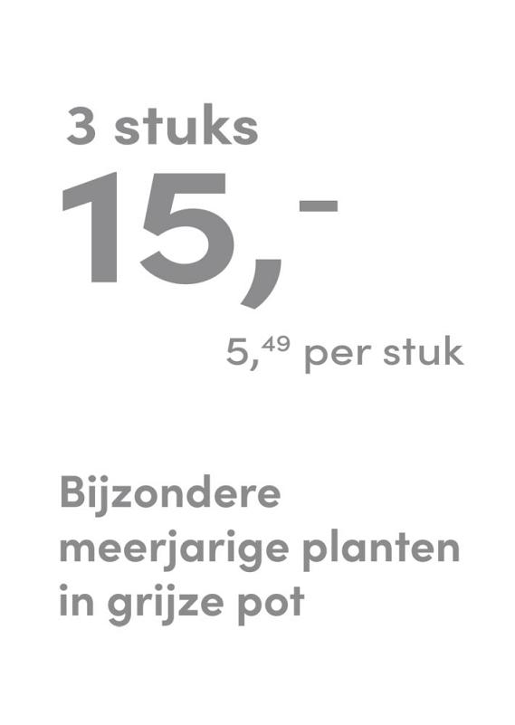 prijskaart 2025 Nederlands - grijze pot 5,49 per stuk - 3 stuks 15,-