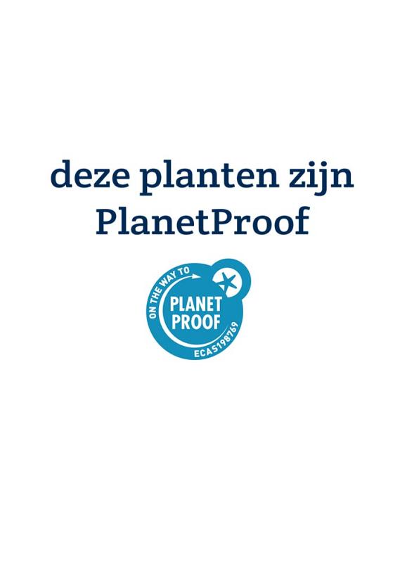 Kaart PlanetProof - deze planten zijn PlanetProof