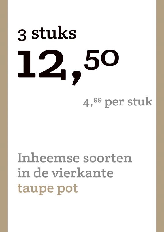 prijskaart 2022 Nederlands - <strong>Inheemse soorten 4,99 per stuk - 3 stuks 12,50</strong>